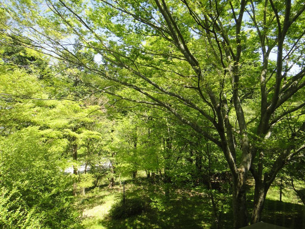 Top Resort Hakone Onsen Goku No Yado エクステリア 写真